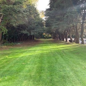 Meet your Posher, Ali